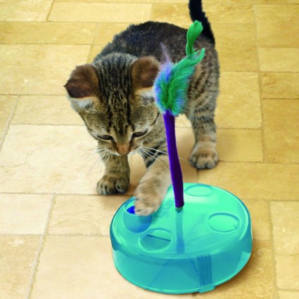 蝦皮--美國KONG Cat Purrsuit 旋轉陀螺 寵物益智玩具