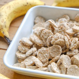 犬零食|蔬果零食|椰油燕麥餅乾 香蕉諾麗果 